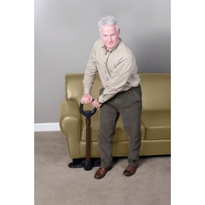 Couch Cane